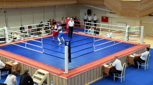 Первенство Северо-Запада по боксу