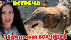 НОЧЬЮ СТРАХА НАТЕРПЕЛАСЬ и вот НЕОЖИДАННАЯ ВСТРЕЧА