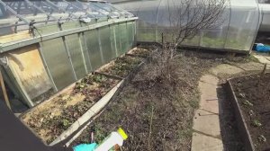 Влог от 25.04.2022