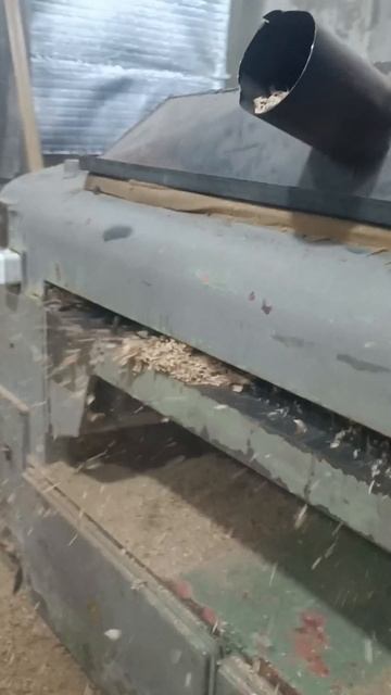 Тестим рейсмус