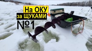На ОКЕ поймали ЩУКУ-ТРАВЯНКУ с пиявками. Зимняя рыбалка. Жерлицы-Зима-2026  №-1