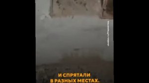 Она съела подругу из-за критики и сломала психику сыну, пока кормила его человечиной. История людоед