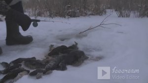 лютый клёв!88 ротанов!в поиске самого крупного!