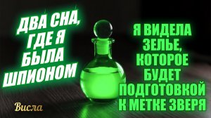 ДВА СНА, ГДЕ Я БЫЛА ШПИОНОМ. Я ВИДЕЛА ЗЕЛЬЕ, ДЛЯ ПОДГОТОВКИ К МЕТКЕ ЗВЕРЯ… Висла