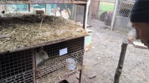 27 февраля. Наши будни.Жизнь на Кубани.