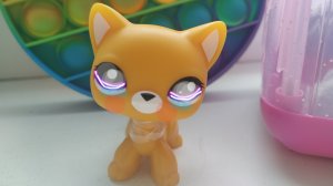 Знакомство Персов?!