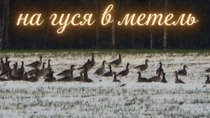 Охота на гуся в метель #32 | Палатку засыпало снегом