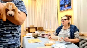 1091 Построят Новый Краснодар. Это будет Караул! На Кубани Это не растёт.