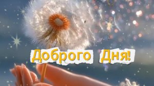 Доброго дня! ✨ Красивые пожелания и хорошее настроение