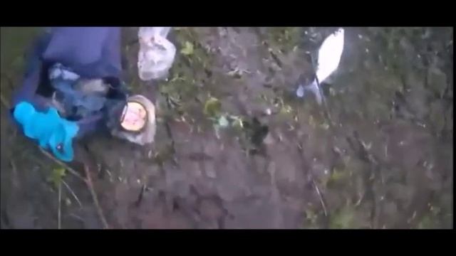 ✔И снова🎣 сопёшка🐟✔