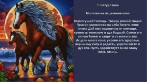 Молитва на исцеление коня.
