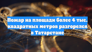 Пожар на площади более 4 тыс. квадратных метров разгорелся в Татарстане