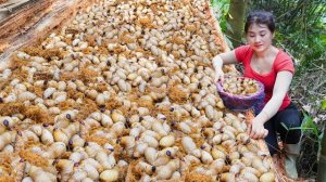 Собираю диких кокосовых долгоносиков, куриц, яица, рыбу и бананы. Торгую и веду хозяйство. Нхат