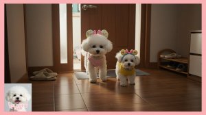 Важное решение Ням-нями в День детей ради Нямдоля!