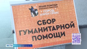 Акцию «Город добрых сердец» в поддержку приютов для животных провели в Череповце