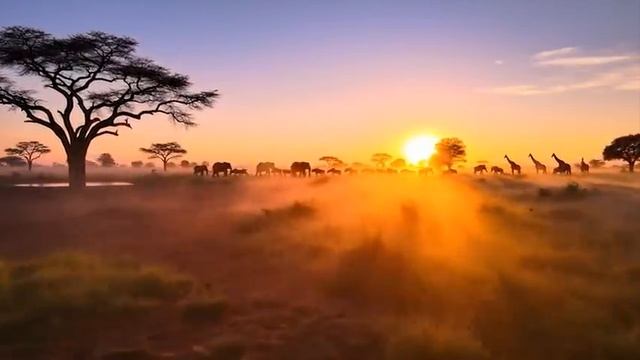 Голос Африки подборка музыки для того чтобы расслабится