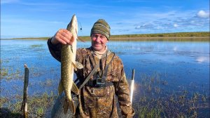 Наловил щук в траве. 3 дня из жизни аборигена.