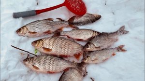 Лучшая Зимняя Рыбалка в Сибири. Наловили плотвы на безмотылку. Русская рыбалка Онлайн Бесплатно