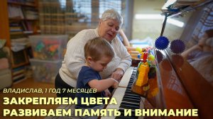 Владислав, 1 год 7 месяцев. Закрепляем цвета. Развиваем память и внимание.