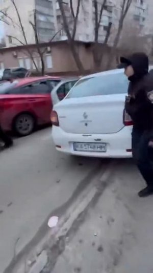 Киев: полицейская задула газом мужика при попытке спасти своего друга от могилизации.