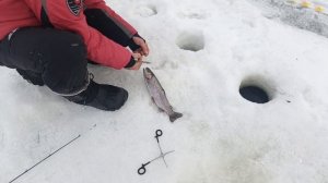 VID_20260304_094252_407