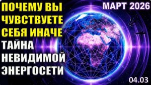 Как Невидимая Сеть Меняет Твою ДНК