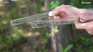 Быстрые новости 04 03 26