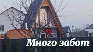 Перелётные ПТИЦЫ ПРИНЕСЛИ НА СВОИХ КРЫЛЬЯХ не только весну, но и много забот. Беларусь деревенская