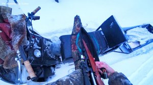 ВТОРОЙ ДЕНЬ ПОИСКА СОБАКИ. ОЧЕНЬ ТРУДНО РАСПУТАТЬ СЛЕД ВОЛКОВ/ 3 серия