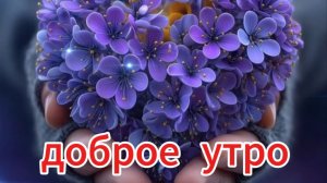 Весна наступила — доброе утро и заряд весеннего настроения! 🌸