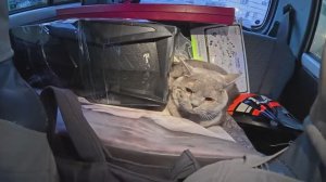 Как_я_зарабатываю_лазая_по_мусоркам_Dumpster_Diving_RUSSIA_#96