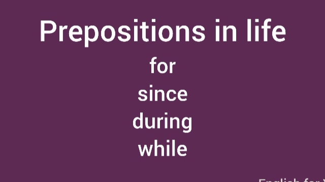 English Prepositions - for, since, during, while.