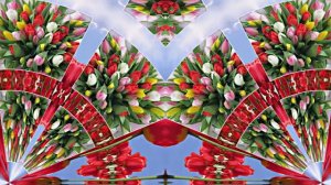 С Днём Рождения!!! Весенний сон 3!!! Музыкальная открытка от Киностудии Мудрого Кота Тимофея!