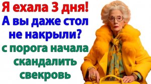 Я к вам ехала три дня! орала свекровь. А обратно поехала через 3 часа! | Реальная История