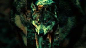 # Я Клык Ломал о Бетон...#💣💥💣 
Душевный Шансон💣💯