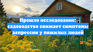 Прошло исследование: садоводство снижает симптомы депрессии у пожилых людей