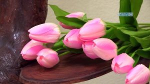 Прически и фото