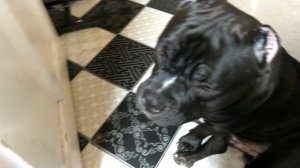 VID_20260304_204512.mp4