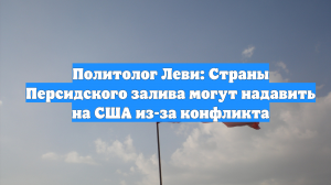 Политолог Леви: Страны Персидского залива могут надавить на США из-за конфликта