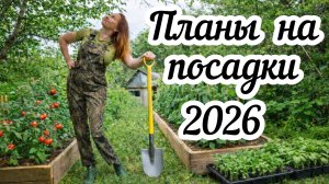 Снежная сказка в моем саду❄️ Что посажу в этом сезоне?🌱 Как не упахаться на 38 сотках?