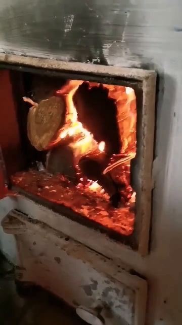 #саморазвитие #дисциплина #успех #цель #мудрость #порядочность #вера #мотивациянауспех #психология