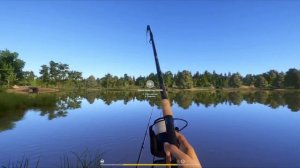 трофейный карп чуть не оборвал снасти [1 трофей на рутубе!]