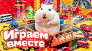 ХОМЯК ВЫБИРАЕТСЯ ИЗ СЕКРЕТНОЙ ХОМЯЧЕЙ ТЮРЬМЫ ! Помогаем выбраться из лабиринта🏆 №2