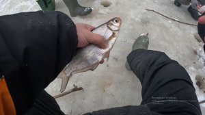 РЫБАЛКА НА МОРМЫШКУ зимой 2026