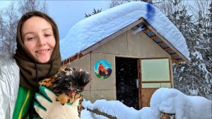 Как прошла первая зимовка в новом доме? Есть проблемы. Сделали вентиляцию, гнезда и стены