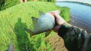 ДОНКИ СРАБОТАЛИ.ЛОВЛЯ ЛЕЩА НА ПЕНОПЛАСТ.РЫБАЛКА НА ВОЛГЕ.