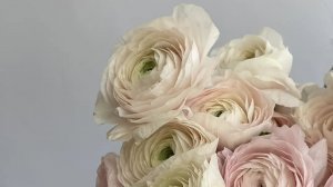 А вы дарите подарки на праздники??