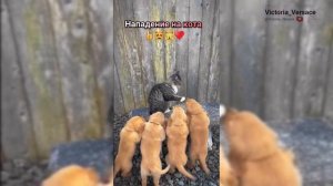 Доброе утречко! Пятница! #доброеутро