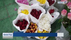 В Краснодарском крае более полтонны цветов не прошли проверку на вредителей