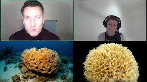 203   ХИРАЛЬНОСТЬ 9 КРУГОВ АДА ДАНТЕ МОРСКАЯ ГУБКА ГРИБЫ И ЧЕРНОЗЕМ